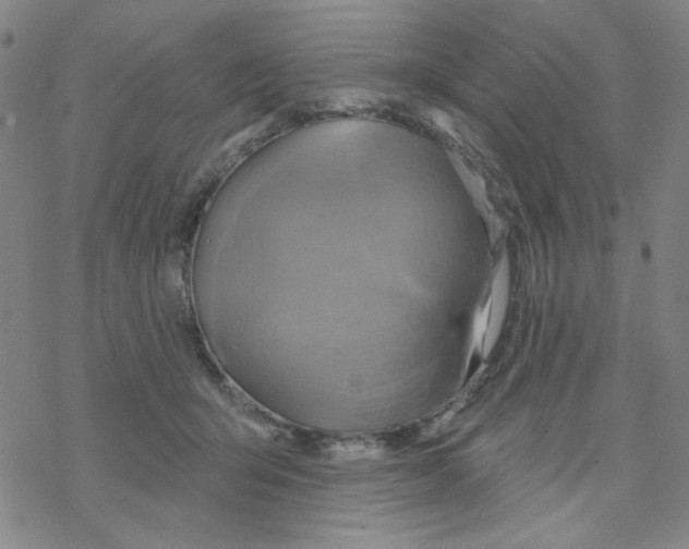 X0000068320415200605192038