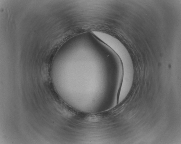 X0000068320416200605192038