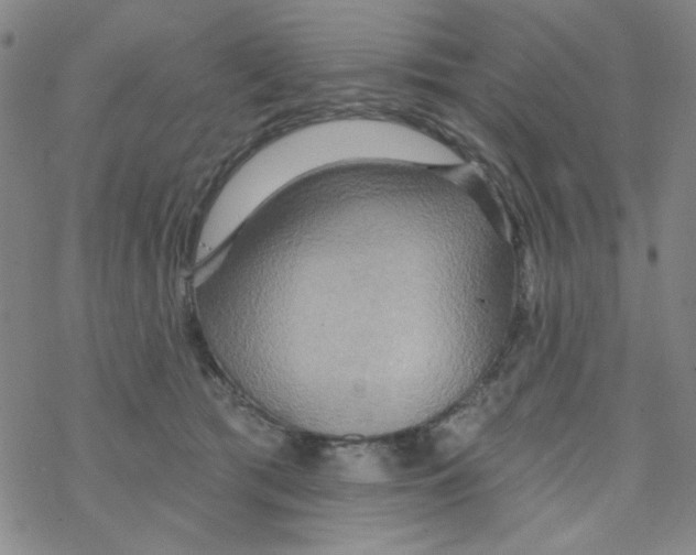 X0000068320417200605192038