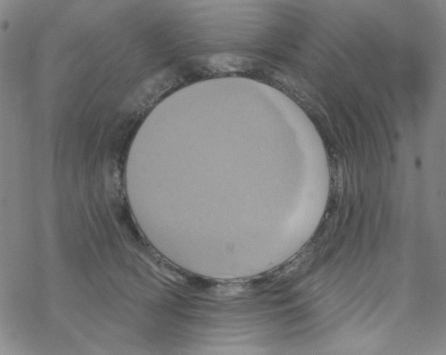 X0000068320418200605192038