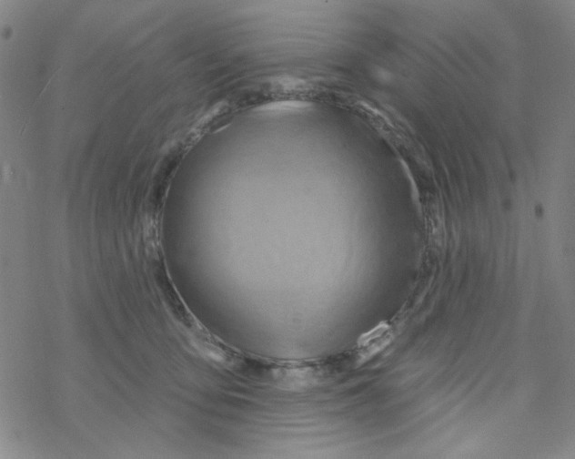 X0000068320419200605192038