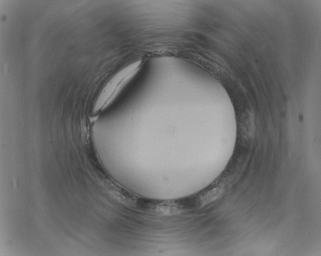 X0000068320420200605192038