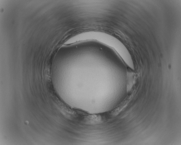 X0000068320421200605192038