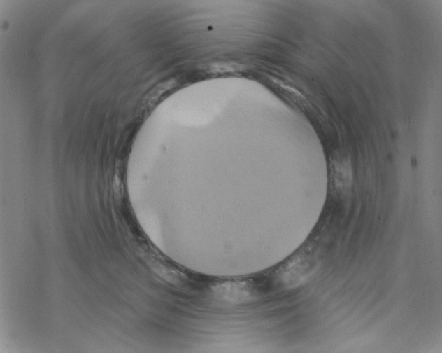 X0000068320422200605192038