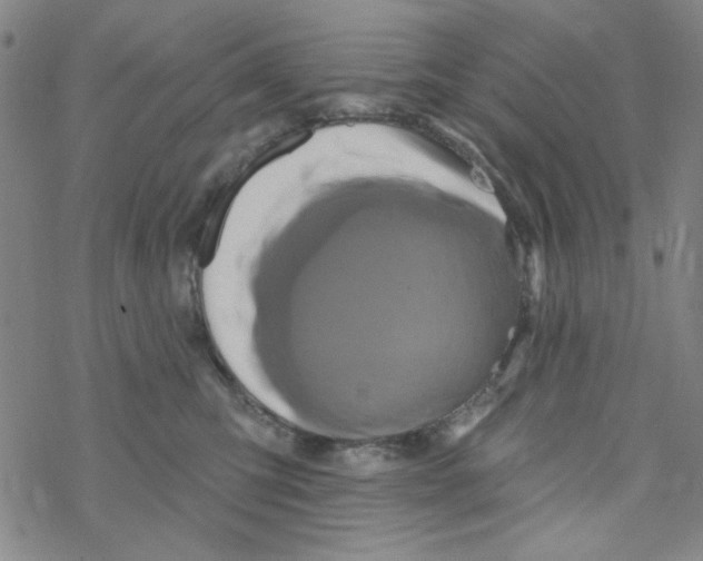 X0000068320423200605192038