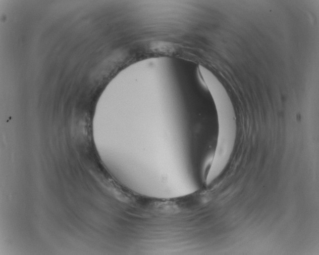 X0000068320424200605192038