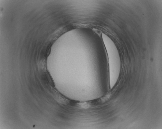 X0000068320425200605192038