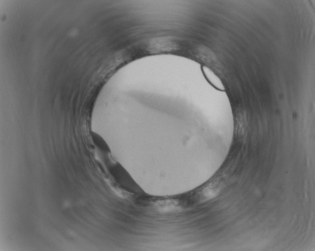 X0000068320426200605192038