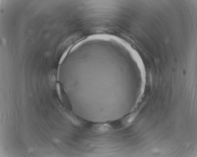 X0000068320427200605192038