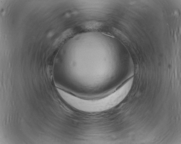 X0000068320428200605192038