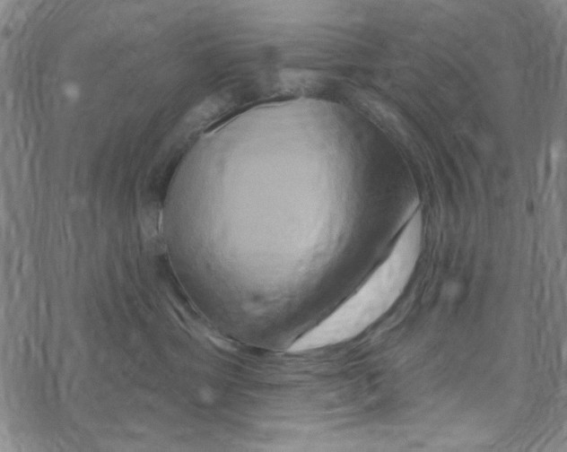 X0000068320429200605192038