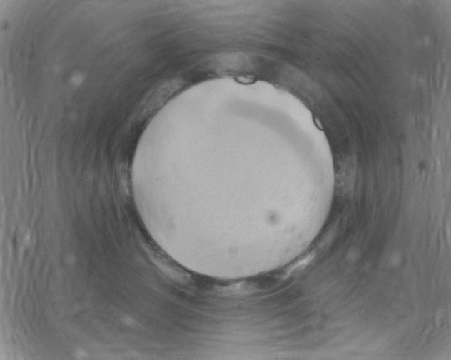 X0000068320430200605192038