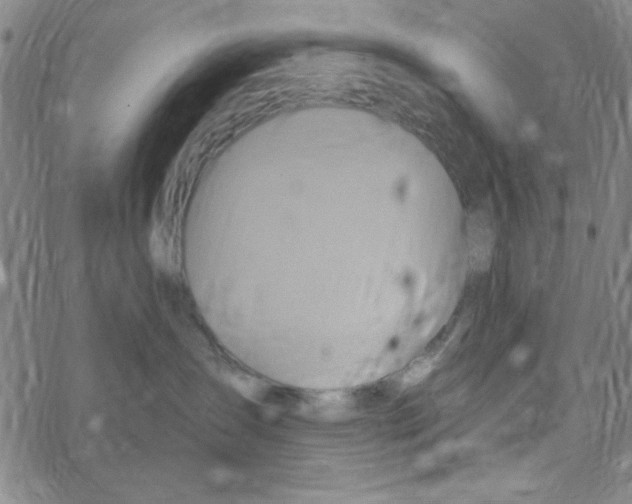 X0000068320431200605192038