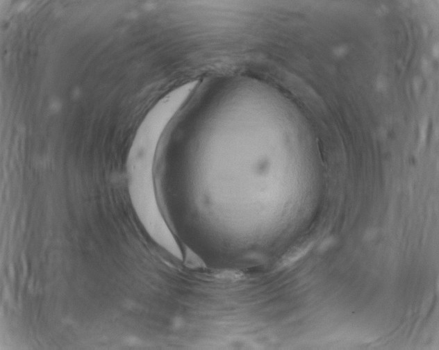 X0000068320432200605192038