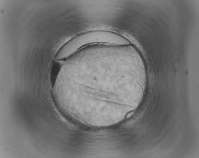 X0000068320433200605192037