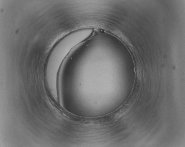 X0000068320434200605192037