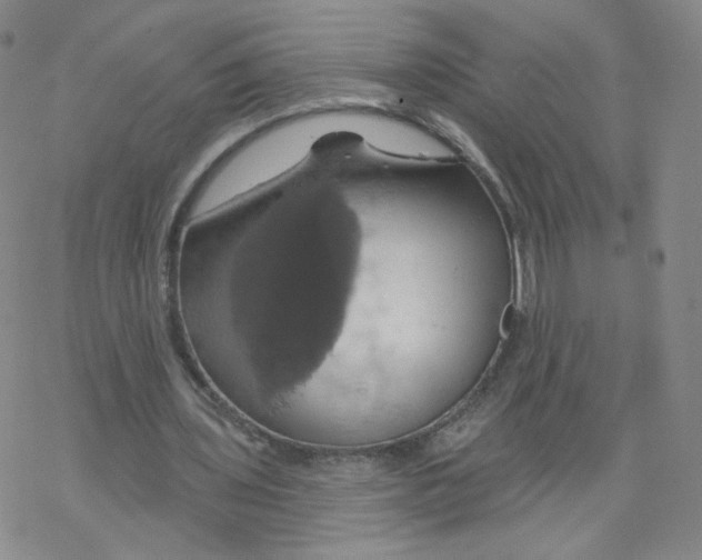 X0000068320435200605192037