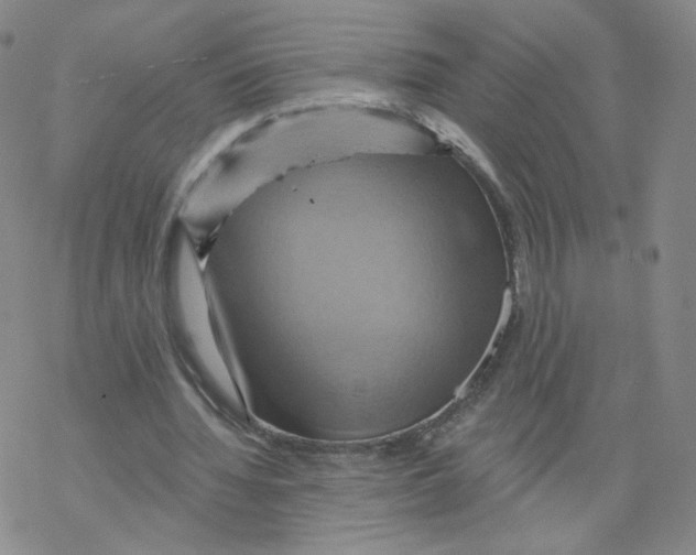 X0000068320436200605192037