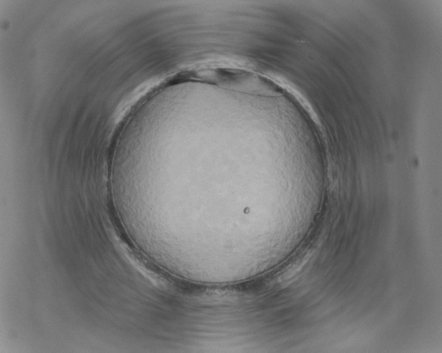 X0000068320437200605192037