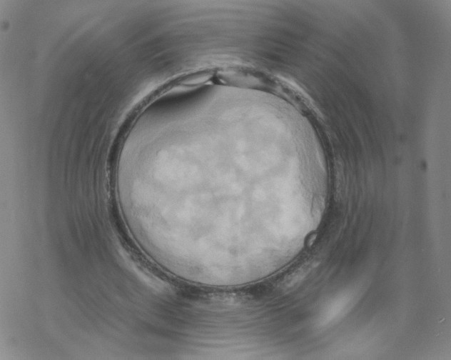 X0000068320439200605192037