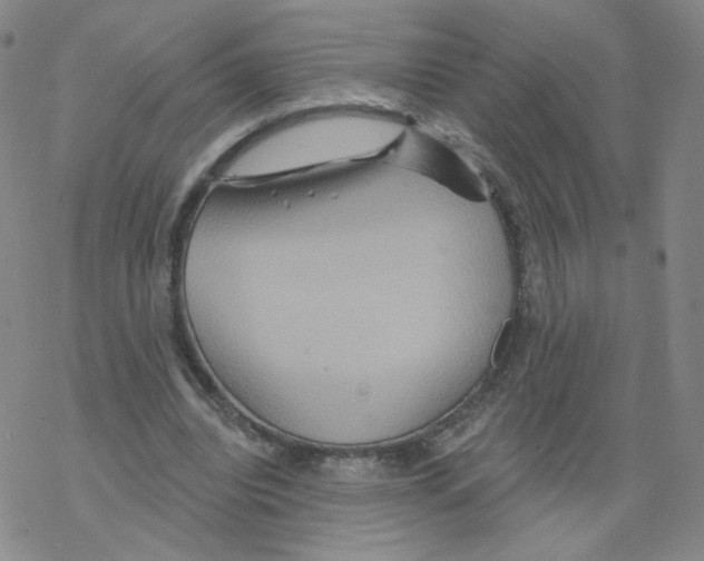 X0000068320440200605192037