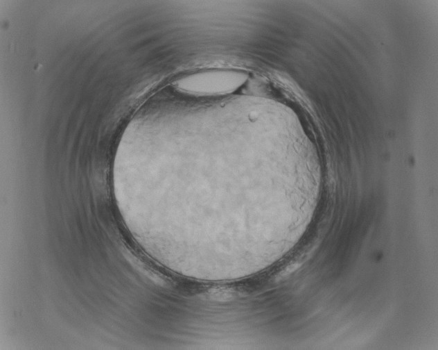 X0000068320441200605192037