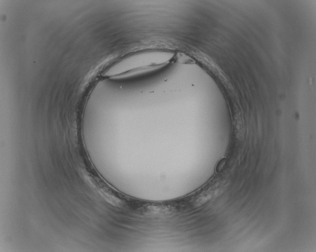 X0000068320442200605192037