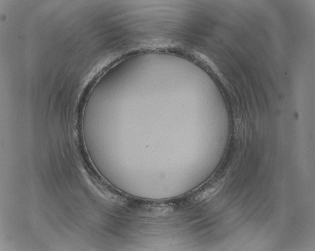 X0000068320443200605192037