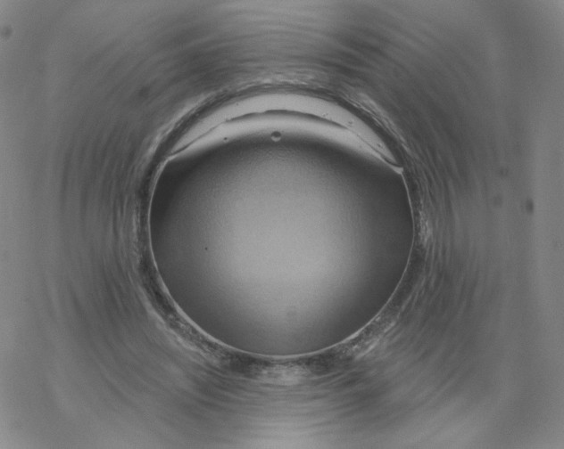 X0000068320444200605192037