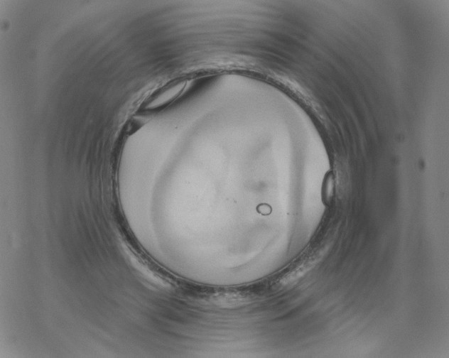 X0000068320445200605192037