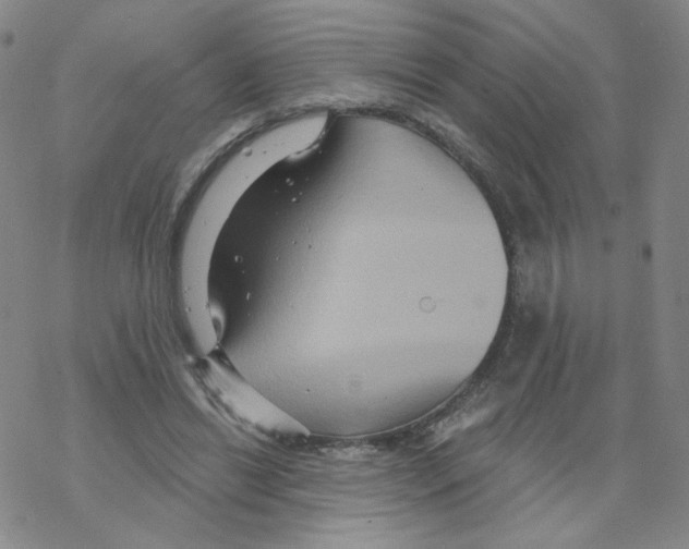 X0000068320446200605192037