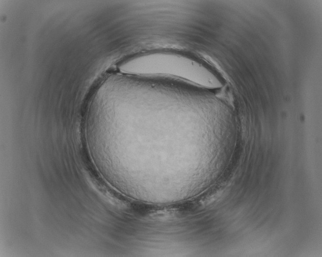 X0000068320447200605192037