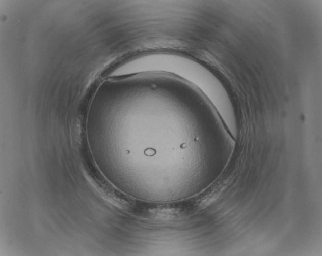 X0000068320448200605192037