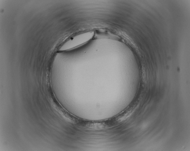 X0000068320449200605192037