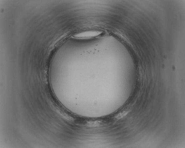 X0000068320450200605192037