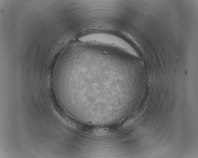 X0000068320451200605192037