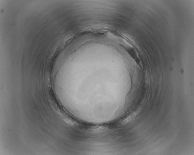 X0000068320453200605192037