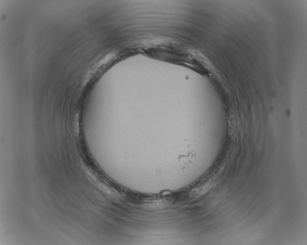 X0000068320454200605192037