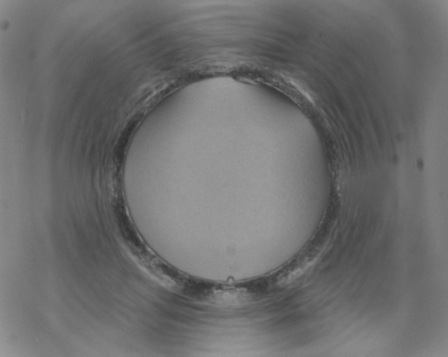 X0000068320455200605192037