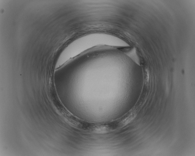 X0000068320456200605192037