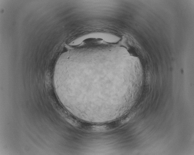 X0000068320457200605192037