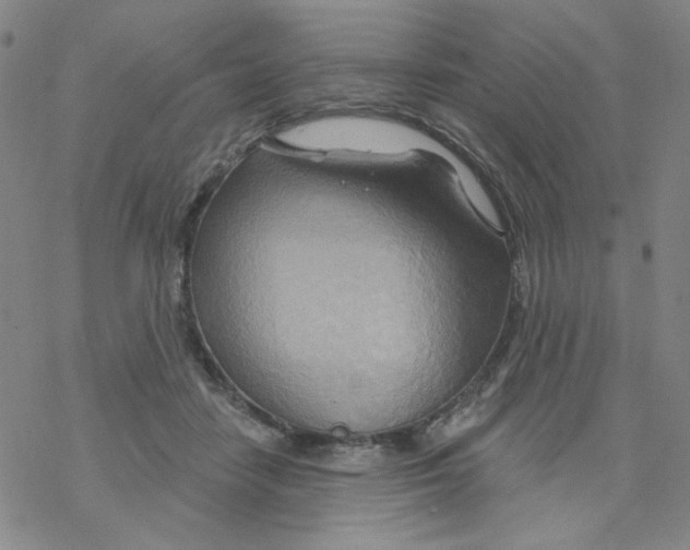 X0000068320458200605192037