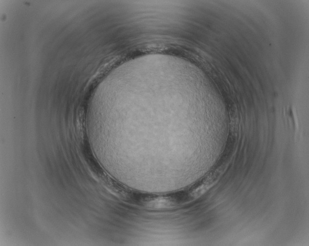 X0000068320460200605192037