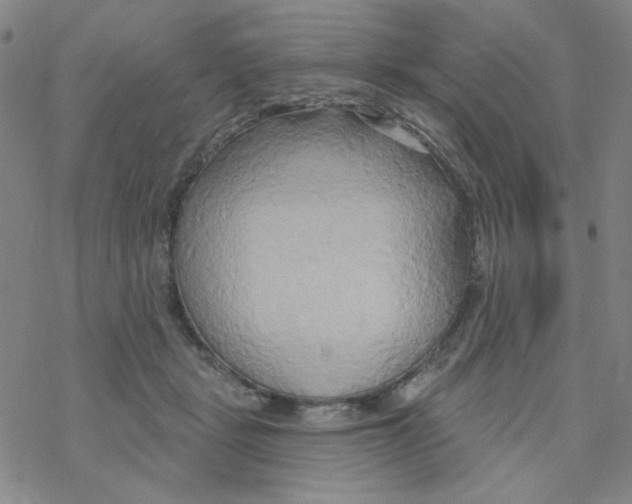 X0000068320461200605192037