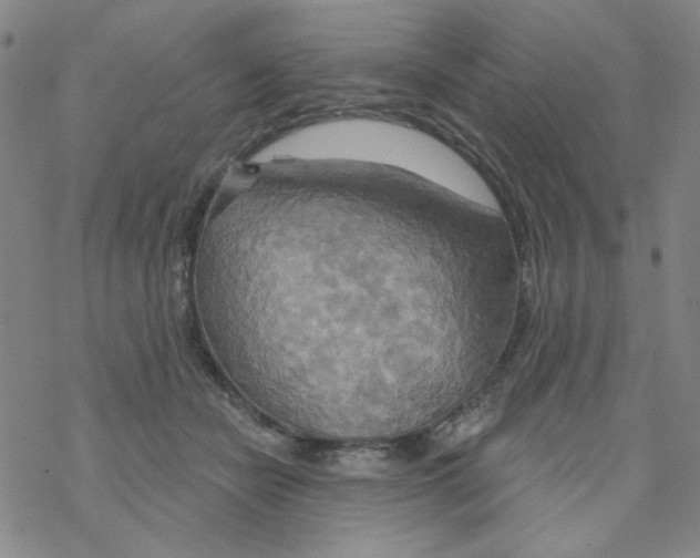 X0000068320462200605192037