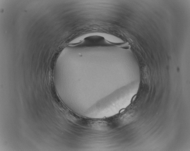 X0000068320463200605192037