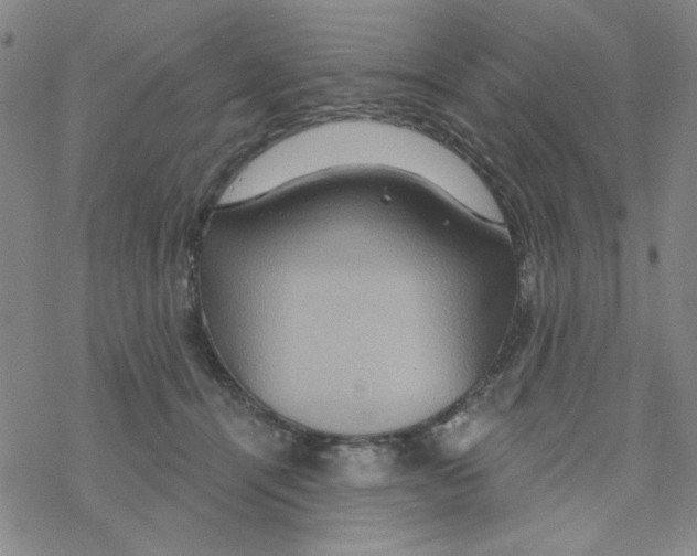 X0000068320464200605192037