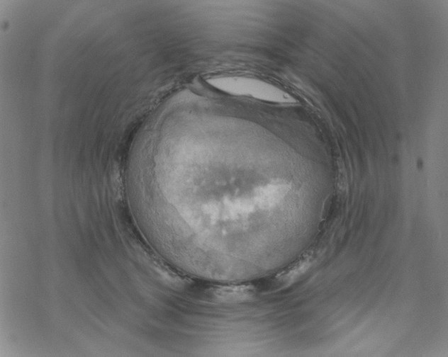 X0000068320465200605192037