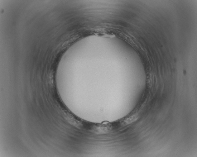 X0000068320466200605192037