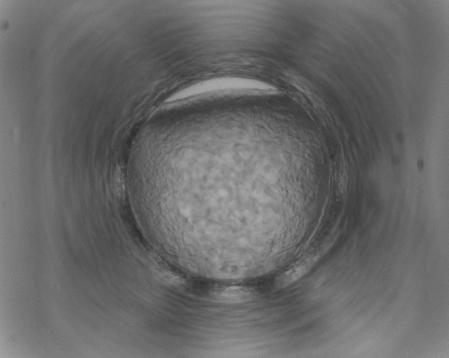 X0000068320467200605192037